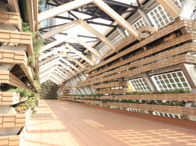 20260203_画像挿入