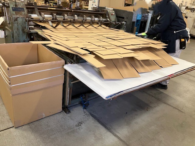 20260203_画像挿入