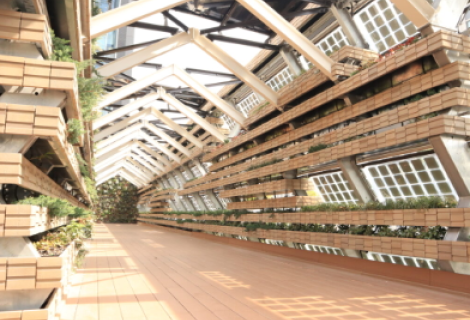 20260203_画像挿入