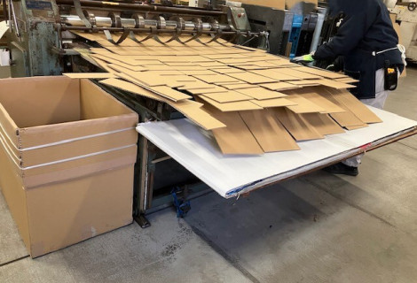 20260203_画像挿入